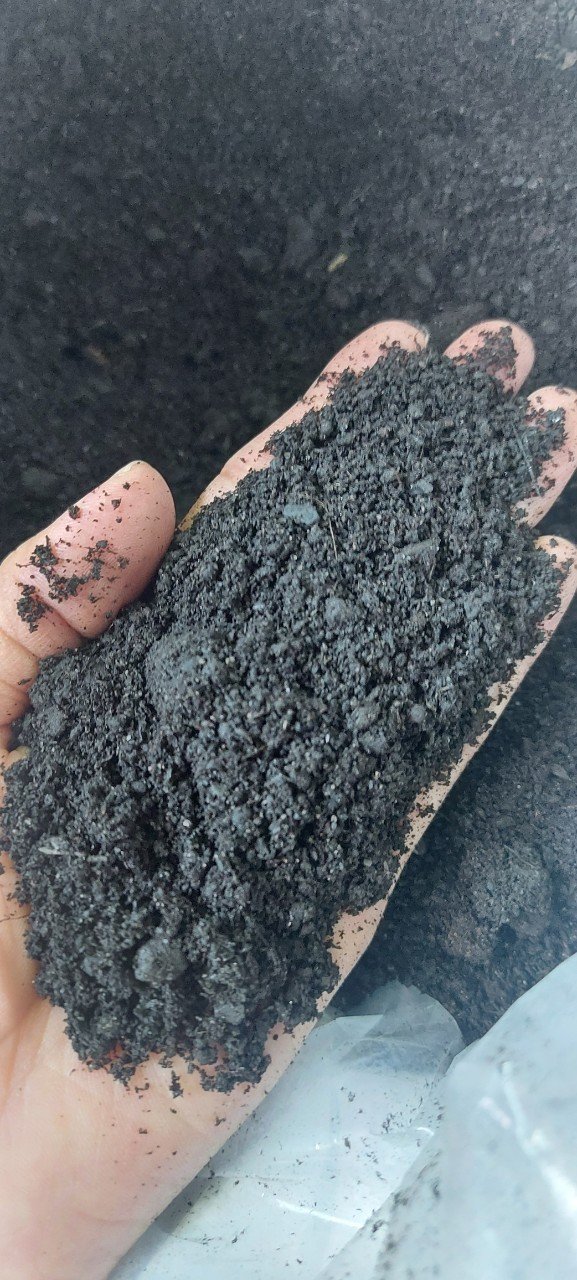 chanabico-dat-chuyen-trong-rau-vuon